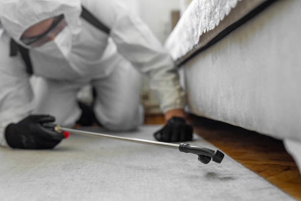 Professional Pest Control technician working in Monroe County County, MS